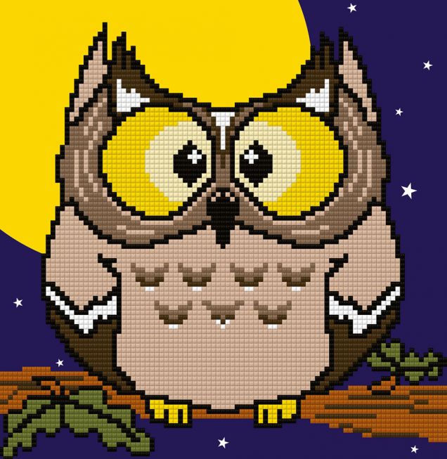 Diamond painting - Night eagle-owl
