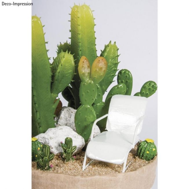 Kaktus miniatyrer